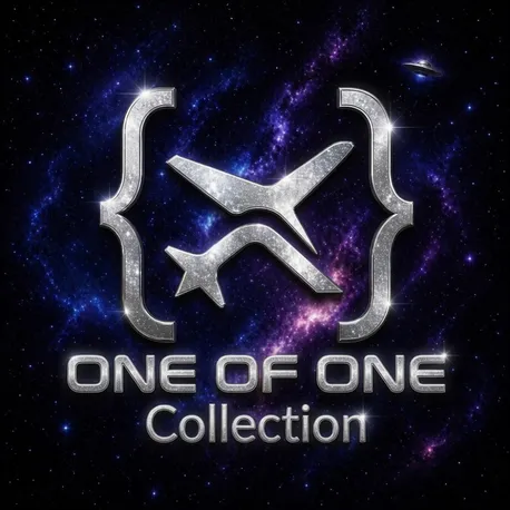 Round Tripprx Beyond One of One Collection silver aircraft logo against a galaxy